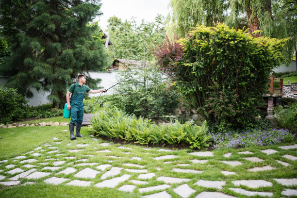Best Affordable Pest Control Services  in Kimberling City, MO