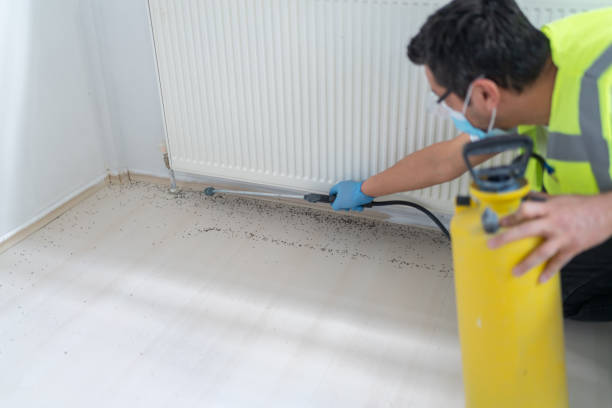 Best Pest Prevention Services  in Kimberling City, MO
