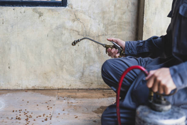 Best Affordable Pest Control Services  in Kimberling City, MO